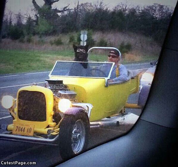 Going-for-a-ride