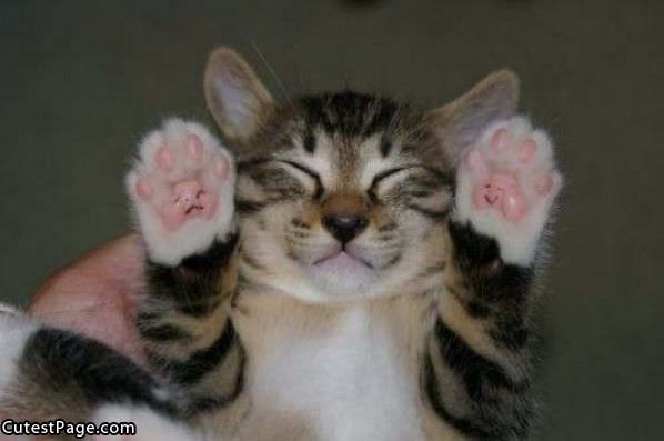 Hands Up
