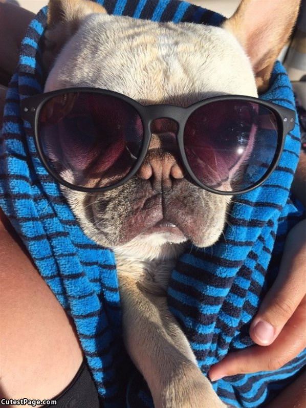Hanging In The Sun