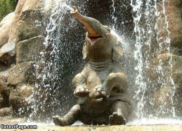 Happy Elephant