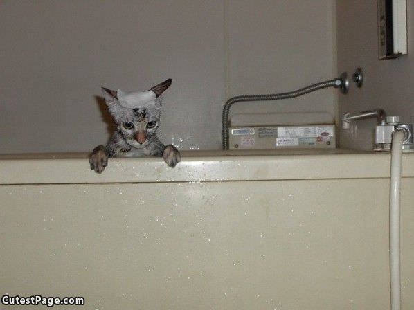 Hates Bath Time