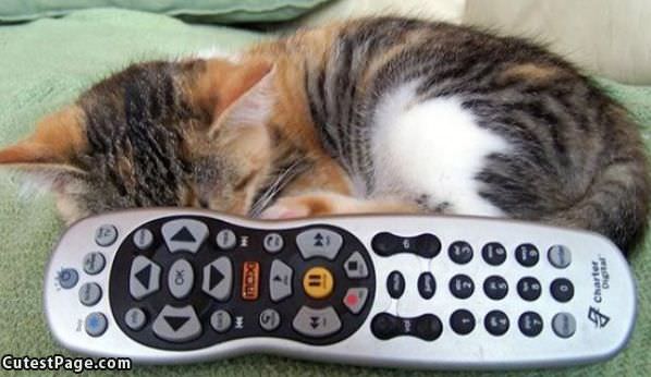 Hiding Behind The Remote