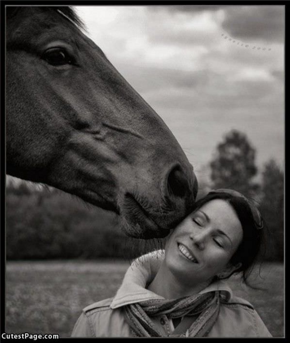 Horse Kiss