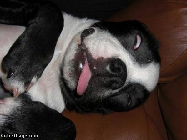 I Are Sleep