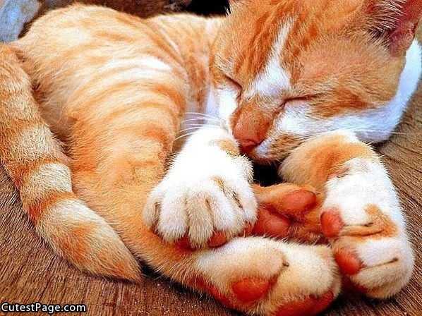 I I S So Sleepy