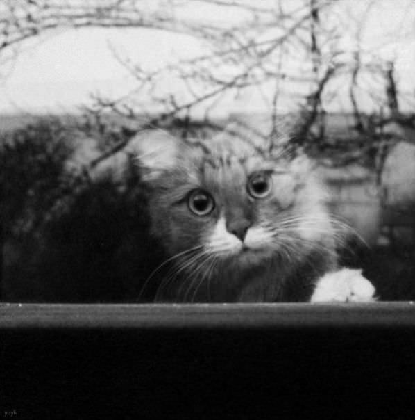 I Want To Go Out