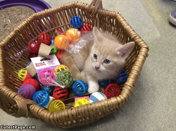 In My Toy Basket