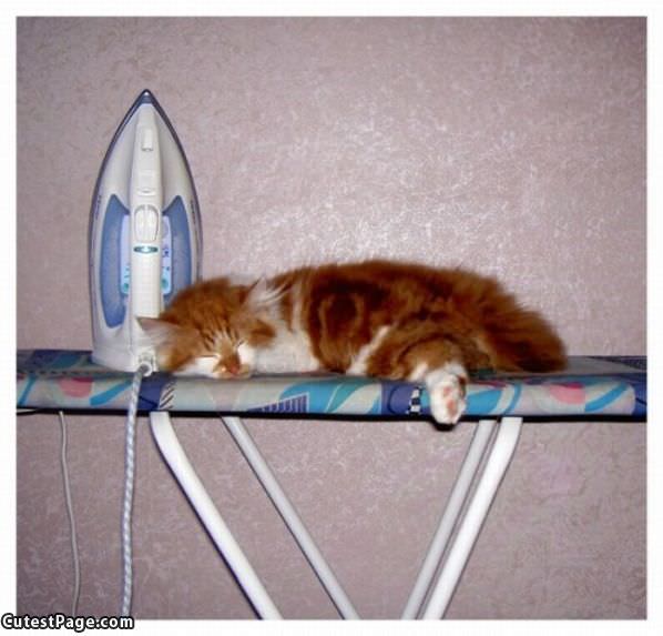 Ironing Board