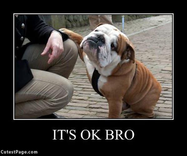 Its Ok Bro