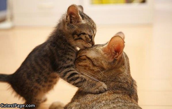 Kiss For Mom