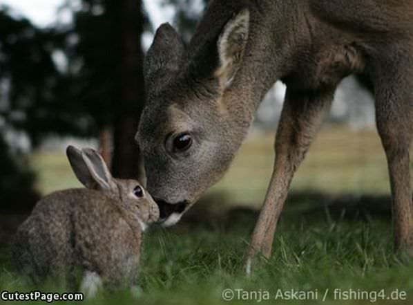 Kissy