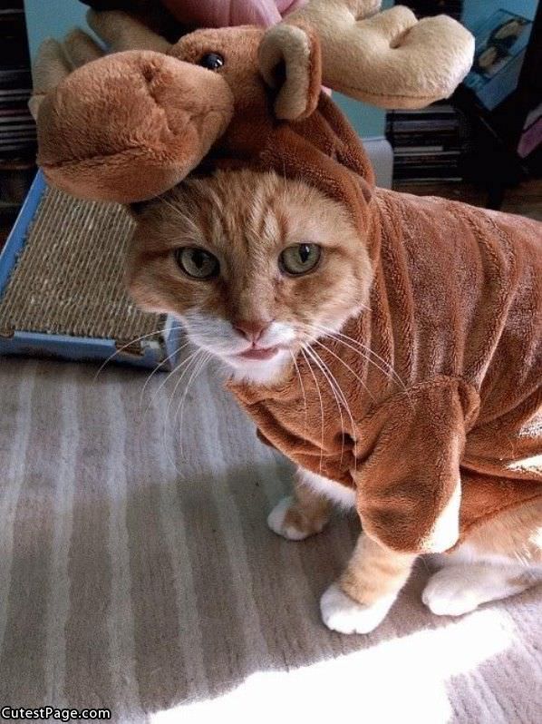 Kitty Deer Costume