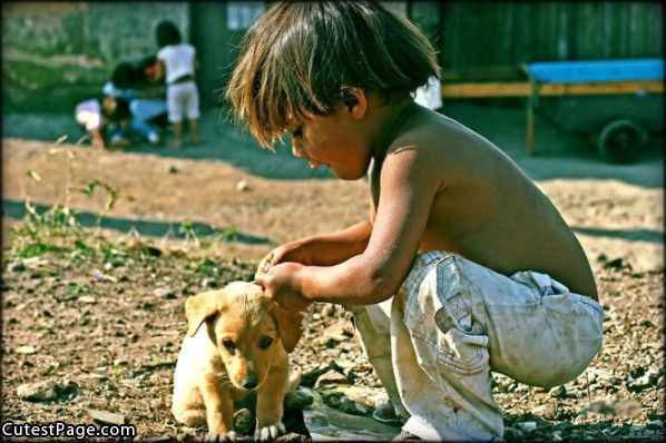 Little Boy And Cute Puppy