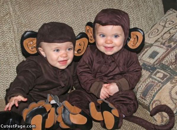 Little Cute Monkeys