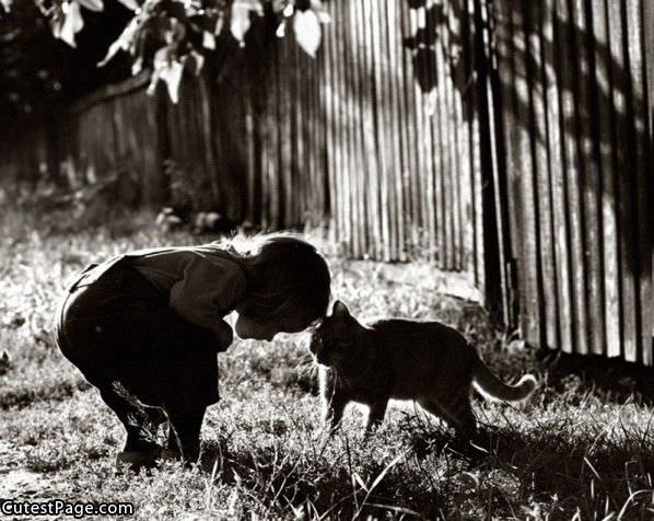 Little Girl And Cat