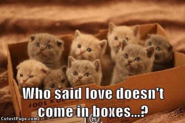 Love In A Box