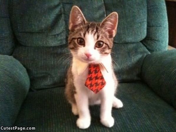 Mah Tie