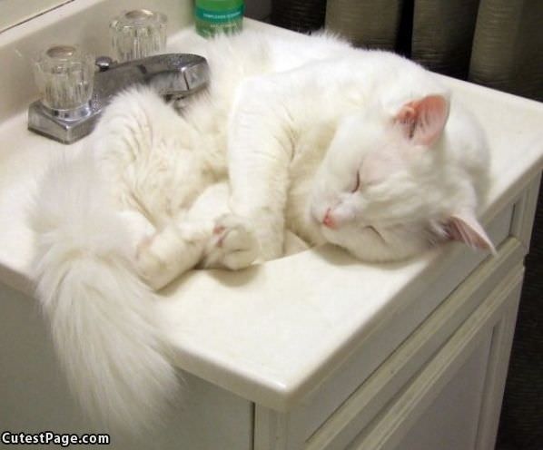 Need A Bigger Sink