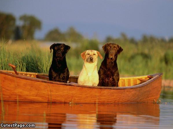 On The Boat