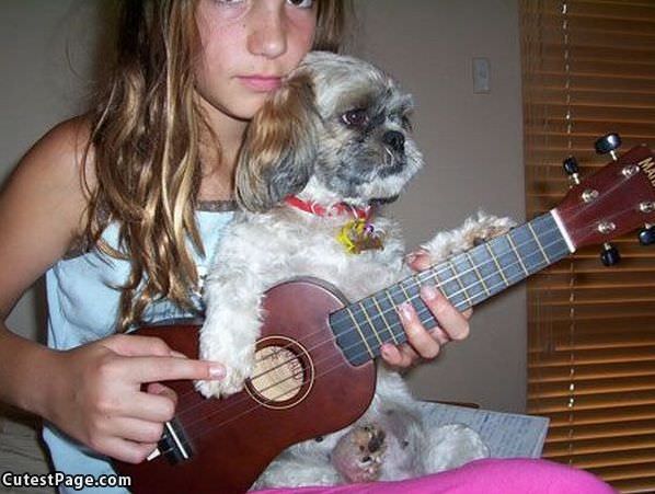 Playing Guitar