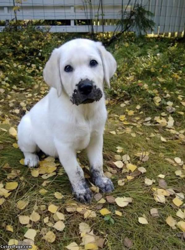 Playing In The Dirt A Bit