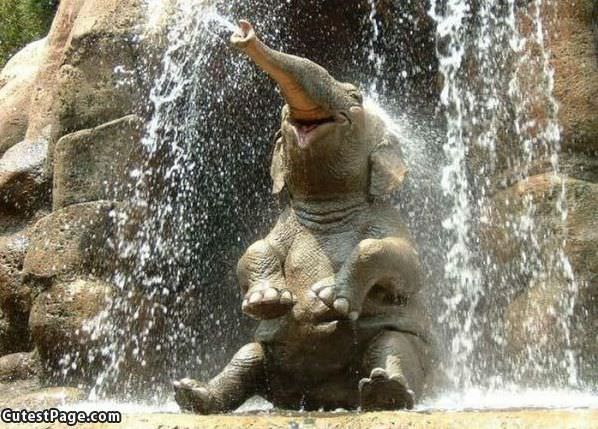 Playing In The Water