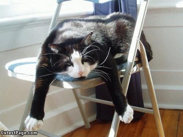 Pooped