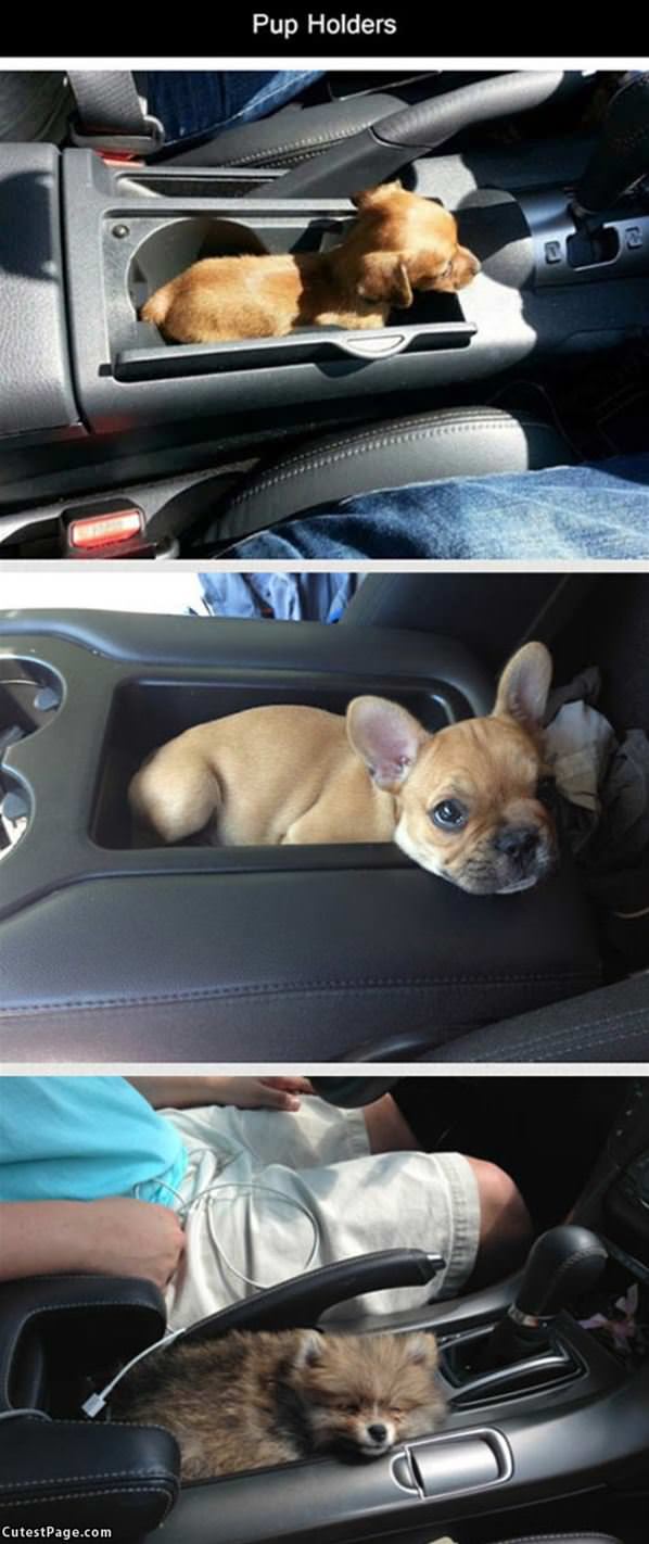 Pup Holders