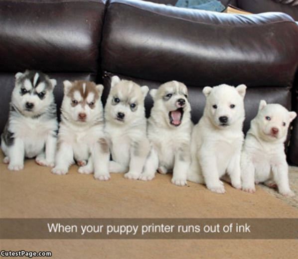 Puppy Printer