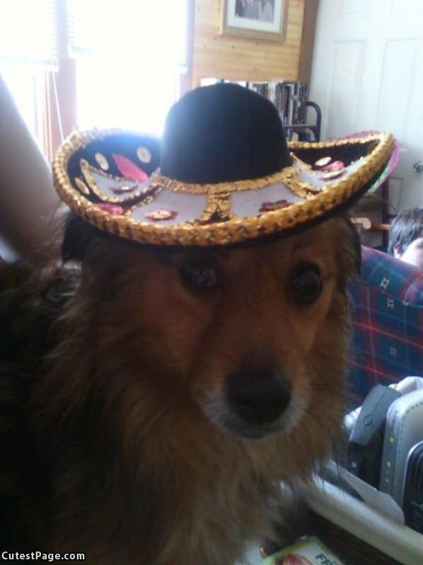 Ready For Cinco De Mayo