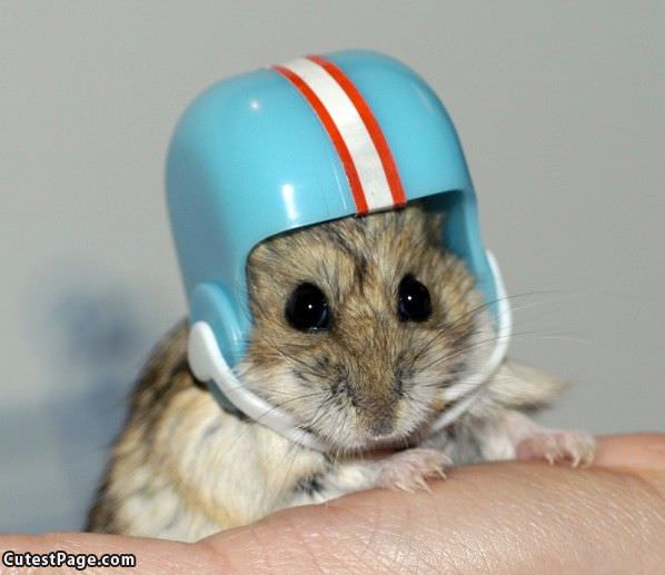 Ready For Some Football