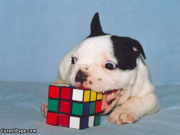 Rubiks