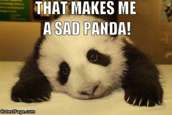 Sad Cute Panda