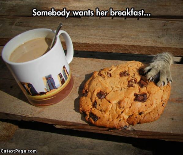Someone Wants Her Breakfast