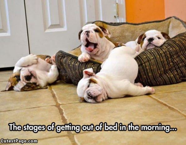 Stages Of Getting Out Of Bed