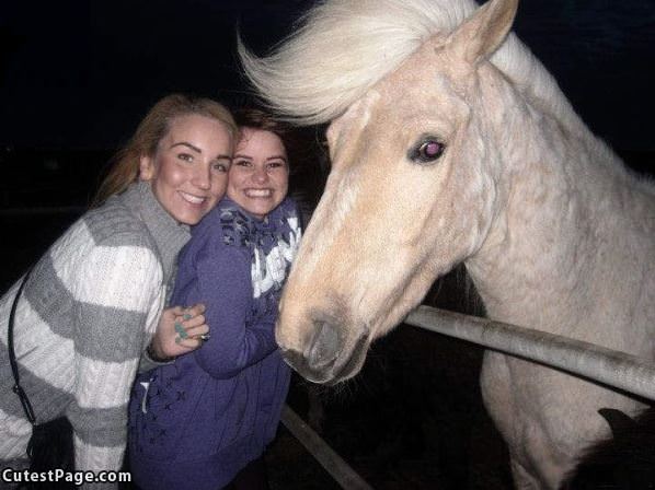 Sweet Hair Horse