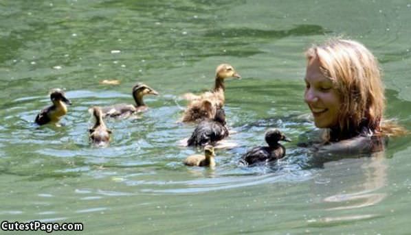 Swimming Duckies