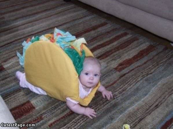 Taco Costume