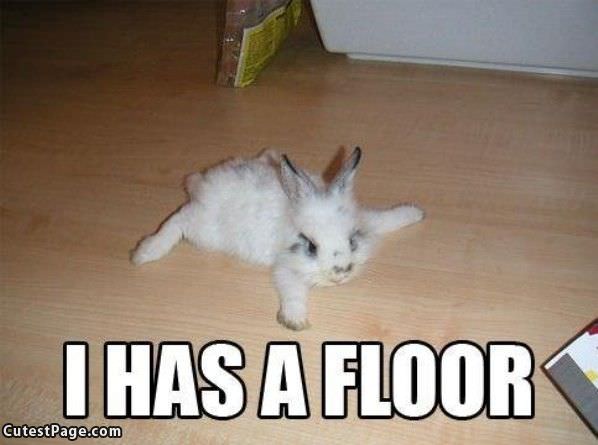 The Floor