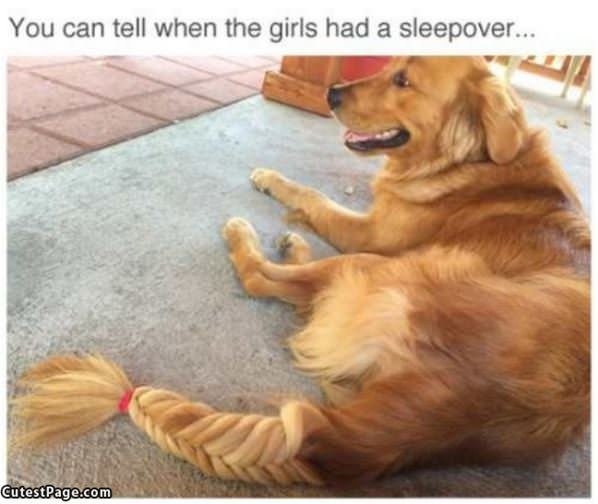 The Girls Had A Sleepover