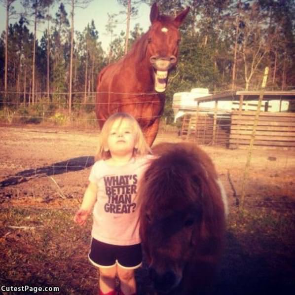 The Horse Photobomb