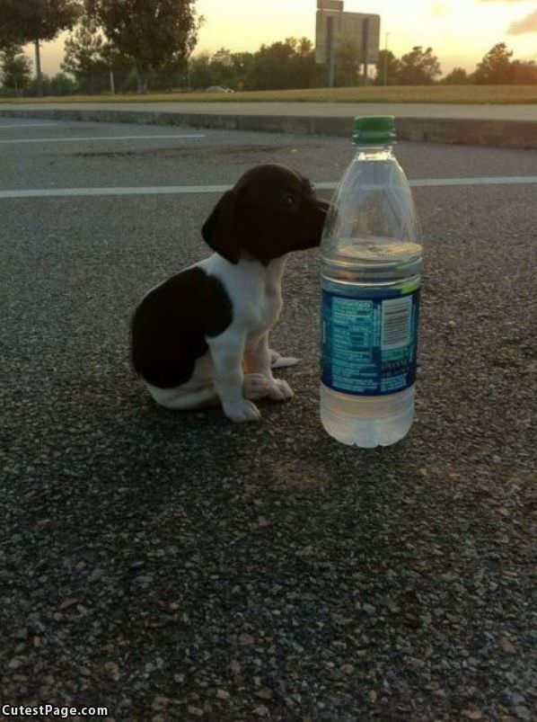 Thirsty