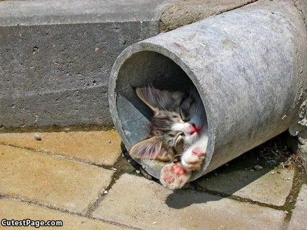 This Is Where I Sleeps
