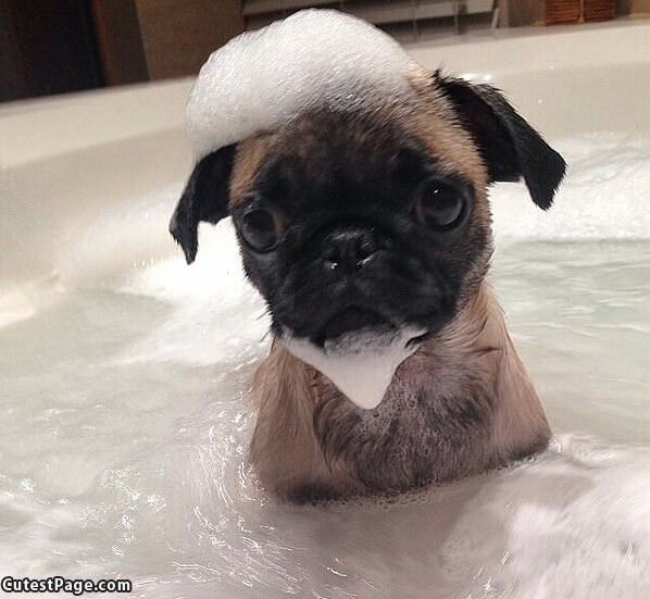 Tiny Bath