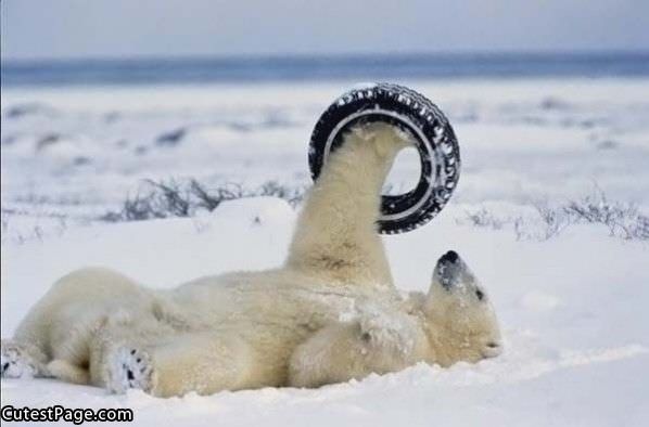 Tire Toy