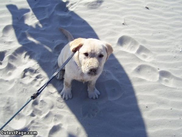 Toes In The Sand