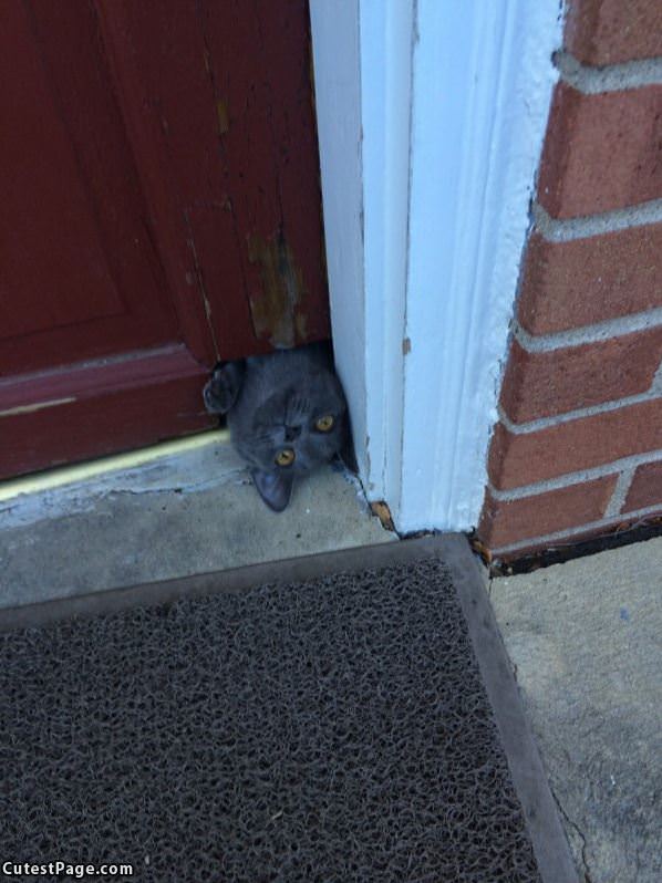 Under The Door