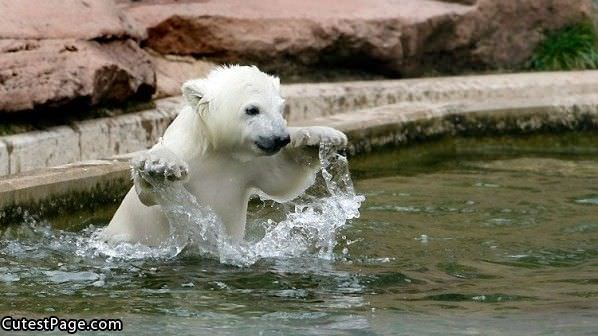 Water Jump