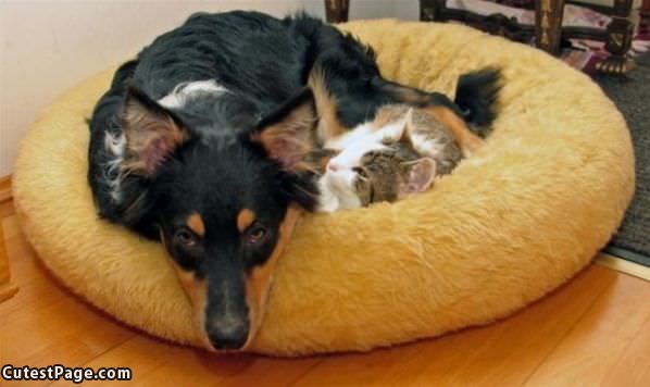 We Are Friends