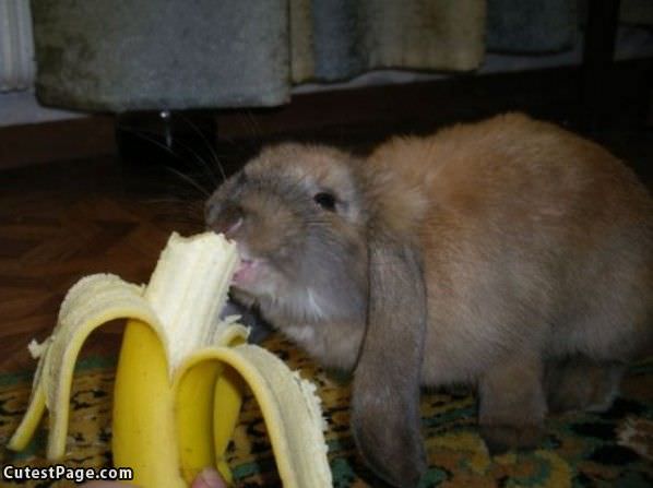 Yummy Banana